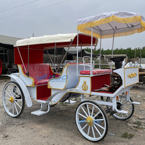 Fabricant chinois de calèches électriques élégantes et luxueuses sur mesure, calèche royale de tourisme Victoria avec éclairage, à vendre - Product Image 5