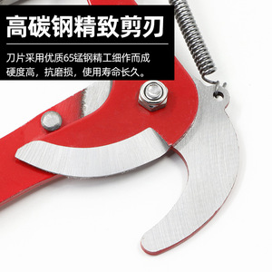 High Branch Pruning Shears Steel Telescopic Bypass For Garden Tree Fruit Tree Trimming - Product Image 2