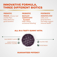 Gummies de soutien énergétique de haute qualité à marque privée, sans gluten, superaliments, prébiotiques, probiotiques, pour la digestion
