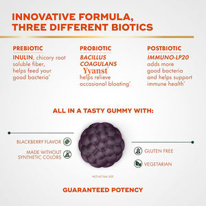 Gomitas de Alta Calidad de Marca Privada para Apoyo Energético, Sin Gluten, Superalimentos, Prebióticos y Probióticos, Apoyo Digestivo - Product Image 3