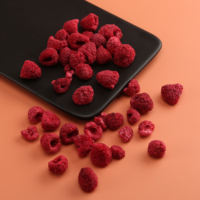 Guoyue-liofilizador de Raspberry, liofilizador en polvo completo, piezas de Raspberry
