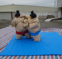 Jeux de sports de combat, combinaisons de lutte sumo