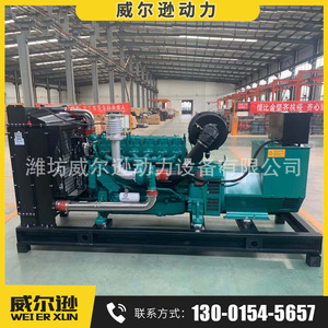 Générateur diesel Weichai 250 kW 400 V 50 Hz, groupe électrogène de secours industriel - Product Image 2
