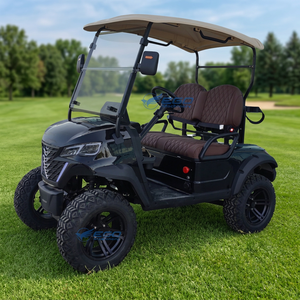 Voiturette de golf personnalisée pour 2 passagers – Meilleur prix – Voiturette de golf pour le tourisme en parc à vendre - Product Image 1
