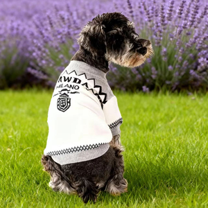 Dog Sweater Luxury Designer Dog Clothes French Bulldog Schnauzer Corgi Chihuahua Puppy Clothes Dropshipping - Product Image 4