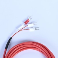 Sensor de Temperatura RTD, Duradero, Económico, Carcasa de Acero Inoxidable, IP65, Resistente al Agua y a los Golpes, Alta Precisión, Amplio Rango, Grado Industrial