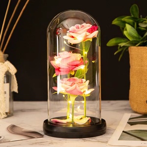 Rose artificielle sous cloche en verre avec lumière LED, vente chaude 2024, rose de <span class=keywords><strong>la</strong></span> <span class=keywords><strong>Belle</strong></span> <span class=keywords><strong>et</strong></span> <span class=keywords><strong>la</strong></span> Bête sous cloche en verre, cadeaux pour <span class=keywords><strong>la</strong></span> Saint-Valentin - Product Image 6