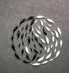 Morden – <span class=keywords><strong>statue</strong></span> murale de <span class=keywords><strong>poisson</strong></span> d'art en métal mat, décoration de la maison - Product Image 4