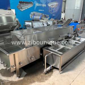 Machine à laver les pousses de haricots en acier inoxydable 304, équipée d'un réservoir de collecte des impuretés. Écran filtrant à 2 couches pratique - Product Image 1