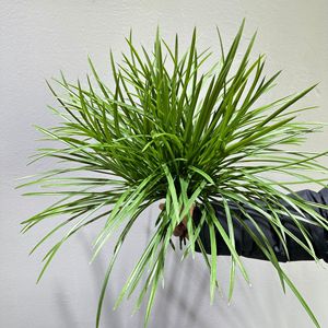 Orquídea Artificial Meng Jie de 30cm-100cm, Planta Decorativa de Plástico para Decoración del Hogar y Exteriores - Product Image 3