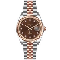 Montre Ronde Alexander Ferros 8232D/08 Saphir avec Fermoir Pliant de Sécurité en Acier Inoxydable Résistante à l'Eau Mécanique Automatique pour Hommes