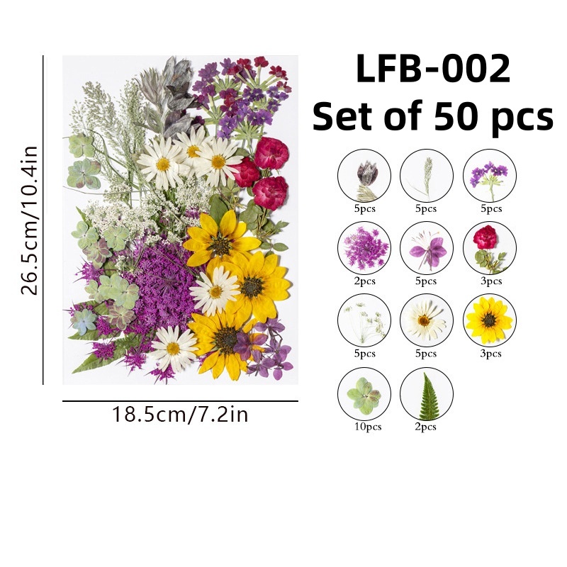 LFB-002