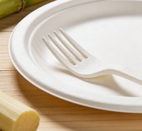 Sac en fibre de bagasse de canne à sucre biodégradable Eco Earth, 100 % écologique, personnalisable, jetable, vente en gros pour usines