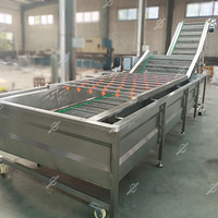 Middelgrote ultrasone ozonwasmachine met paddenstoelvormige belletjes voor het wassen van groenten en fruit