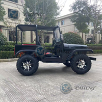 Mini Jeep Caiteng pour adultes, électrique/essence, 4x4, transmission automatique, 2-4 places, buggy tout-terrain haute vitesse