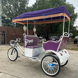 Chariot de pousse-pousse vintage Nouveau pousse-pousse à 2 roues Tricycle 2 places à bas prix pousse-pousse - Product Image 2