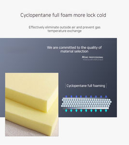 Cina vendita della fabbrica doppia porta congelatore orizzontale Freezer Top <span class=keywords><strong>aperto</strong></span> per cucina commerciale cucina attrezzatura di refrigerazione - Product Image 6