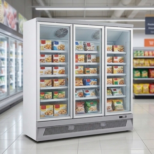 Congélateur à porte vitrée refroidi par air Startos, contrôle numérique de la température, affichage LED, 5 étagères réglables, réfrigérateur XTS - Product Image 2