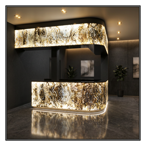 Revestimiento de piedra para paredes interiores, revestimiento de pared de pizarra translúcida, chapa delgada pulida, pizarra moderna contemporánea para interiores. - Product Image 1