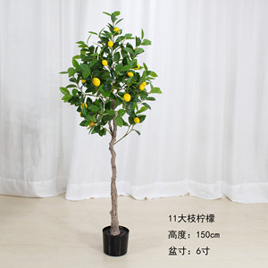 <span class=keywords><strong>Limonero</strong></span> artificial H95 para interior y exterior, venta al por mayor, pequeña planta falsa, <span class=keywords><strong>limonero</strong></span> falso para el hogar, oficina, centro comercial, decoración de tienda - Product Image 6