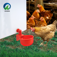 Nouvel équipement d'élevage avicole, abreuvoir automatique humide/sec en PP pour poulets, abreuvoirs pour cailles et poussins