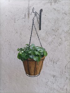 Prezzo di fabbrica transfrontaliero nuovo cesto appeso in metallo cocco per <span class=keywords><strong>balcone</strong></span> vaso di fiori decorazione - Product Image 4