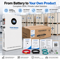 Batterie LiFePO4 OEM 5,12 kWh 51,2 V 100 Ah murale pour stockage d'énergie, marque privée, logo personnalisé, BMS pour solaire domestique