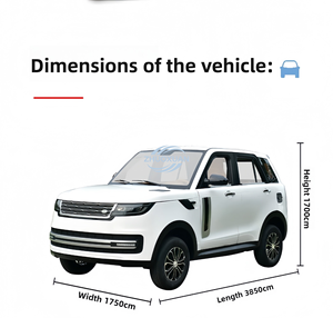 Venta Directa de Fábrica, con Opción de Carga Solar, Mini Auto Eléctrico Económico, Vehículo de Nueva Energía Rentable para Granjas - Product Image 5
