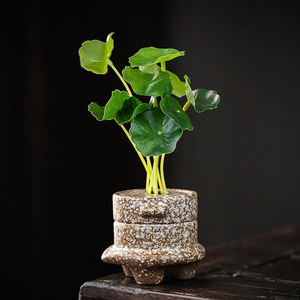 15th Wedding Anniversary Gift Ideas for Every Budget and Style