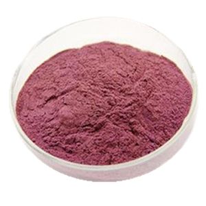 天然ブラックカラントジュースパウダーブラックカラント濃縮ジュースパウダー無料サンプル - Product Image 4