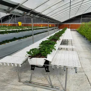 Erdbeer hydro ponik Anbaus ysteme vertikale Pflanzung Anbau Kunststoff Dachrinne Gewächshaus zu verkaufen