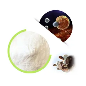 China Factory Supply Hydrolyzed Bovine Skin Collagen Powder Bovine Collagen Powder