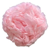 Grosir Pabrik bunga abadi bunga abadi selamanya besar merah muda abadi bunga peony diawetkan untuk hadiah Hari Valentine