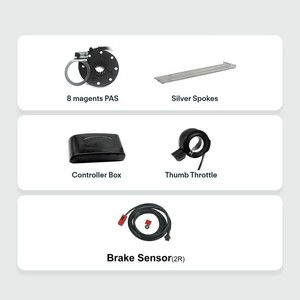 Kit moteur de moyeu de <span class=keywords><strong>vélo</strong></span> <span class=keywords><strong>électrique</strong></span> <span class=keywords><strong>36V</strong></span> <span class=keywords><strong>250W</strong></span> avec moteur de moyeu arrière sans engrenage et <span class=keywords><strong>contrôleur</strong></span> sans balais - Product Image 4