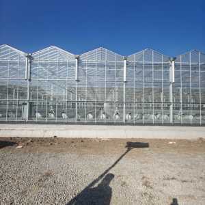 Invernadero de Vidrio Comercial Venlo para <span class=keywords><strong>Cultivo</strong></span> Hidropónico, Invernadero Agrícola de Vidrio con Sistemas de Soporte Completos - Product Image 1