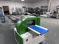 Machine d'emballage horizontale Flow Wrapper pour film plastique PE, idéale pour l'emballage de poireaux et de spaghettis