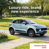 Véhicule électrique à énergie nouvelle modèle 2026 avec climatisation, véhicule électrique à basse vitesse pour adultes à usage domestique
