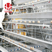 Système d'alimentation automatique pour poussins en cage de couvaison de type A pour projet agricole, équipement avicole commercial pour poulaillers – Fournisseur