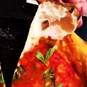 Fermentación perfecta: La mejor levadura seca instantánea del proveedor de levadura de China Crea masa de pizza fresca en minutos con levadura