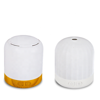 Lampe d'aromathérapie sans eau Batterie USB Double usage Portable Machine d'aromathérapie à grain de bois Pulvérisation automatique d'huile essentielle