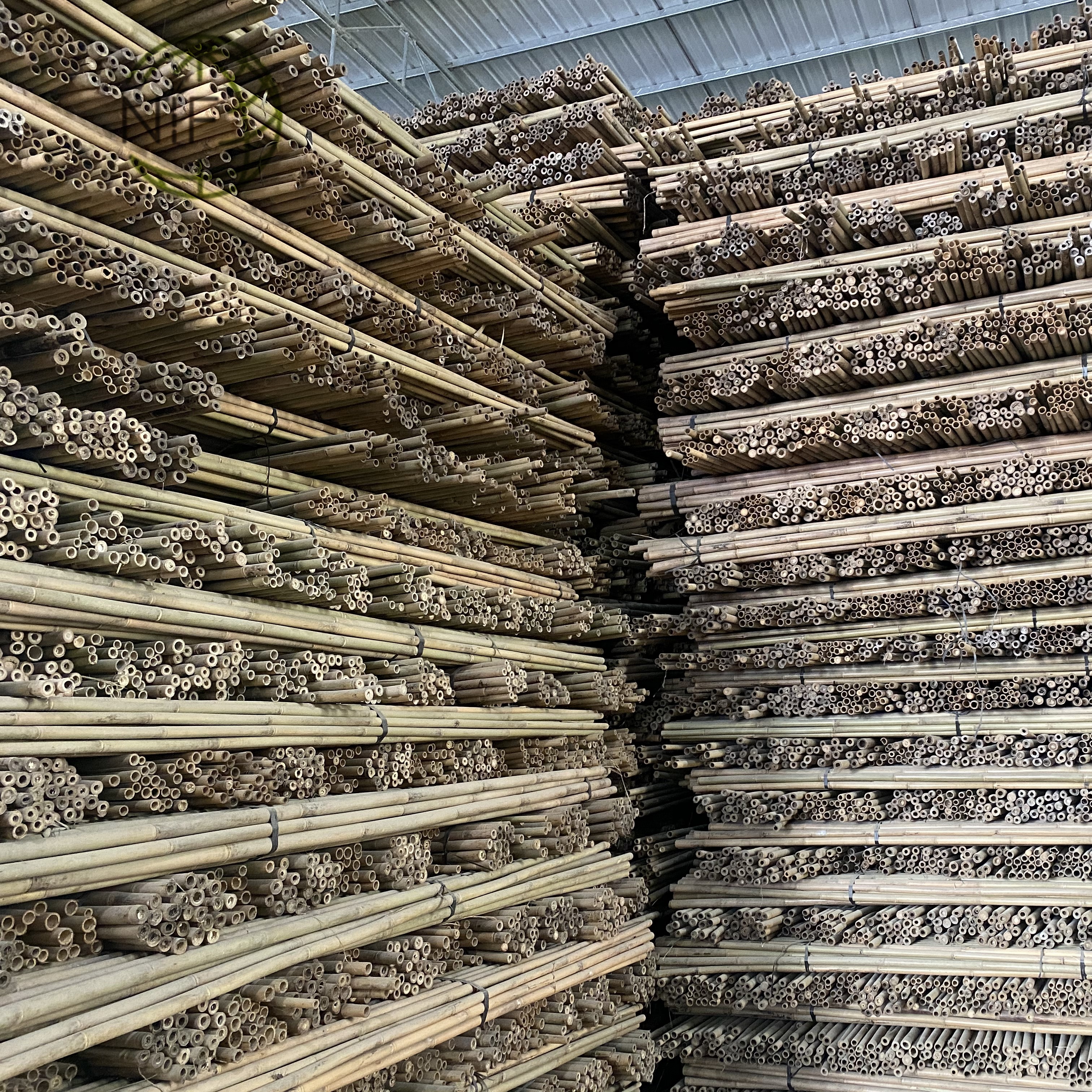 Оптовая продажа, бамбуковый тростник Tonkin хорошего качества на заказ