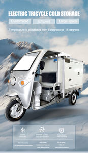 10-дюймовый компрессор Fusheng, мобильный Электрический привод, 3-колесный грузовой РЕФРИЖЕРАТОРНЫЙ трицикл, Холодовая цепь для системы охлаждения мороженого - Product Image 4
