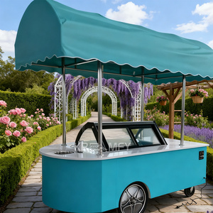 OEM OEM Fast Tricycle Customized Mobile Street Kitchen Food Truck Stainless Steel Ice Cream Cart - Product Image 2