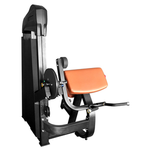 Équipement de <span class=keywords><strong>musculation</strong></span> pour salle de sport commerciale, curl des <span class=keywords><strong>biceps</strong></span> à 45 degrés, <span class=keywords><strong>machine</strong></span> de <span class=keywords><strong>musculation</strong></span> - Product Image 1