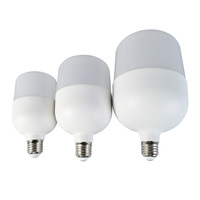 Ampoule LED de type T à haute performance E27, lampes LED haute puissance avec 100 lm/w, 5w 10w 15w 20w 30w 40w 50w 60w, bâton en aluminium AC 80
