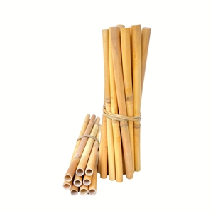 Pailles à roseau bio durables, sûres et à usage unique pour toutes les boissons au meilleur prix - Product Image 1