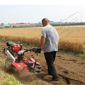 Cultivadora Rotativa de 5hp/7hp/9hp/12hp con Transmisión por Correa, Motor Diésel/Gasolina, Arranque por Retroceso, <span class=keywords><strong>Tractor</strong></span> Agrícola para Labranza y Deshierbe - Product Image 6