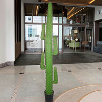 Grandes plantes artificielles de cactus PE de luxe en stock, hauteur 206cm, herbe en plastique, haute assurance pour paysage extérieur, mariage