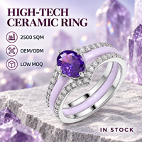 Bague en céramique violette avec double tige en acier inoxydable, centre en zircon violet, pavé de zircons transparents, vente en gros pour mariages OEM ODM