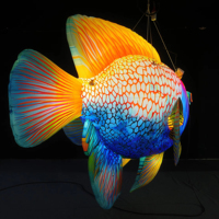 Publicité promotionnelle : Modèles gonflables de poissons tropicaux, avec une ambiance océanique et des accessoires décoratifs spécifiques au thème.
